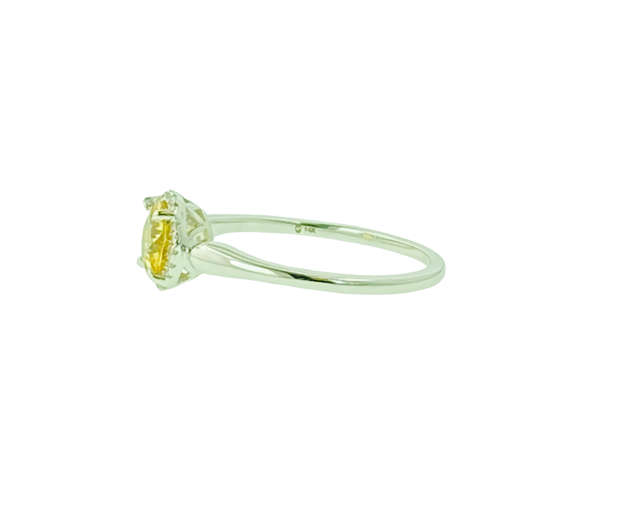 Round Halo Ring - White Gold