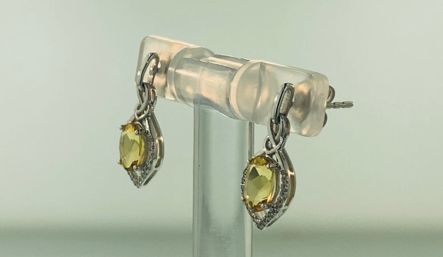 Oval Dangle  Earrings