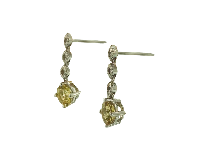Round Dangle  Earrings
