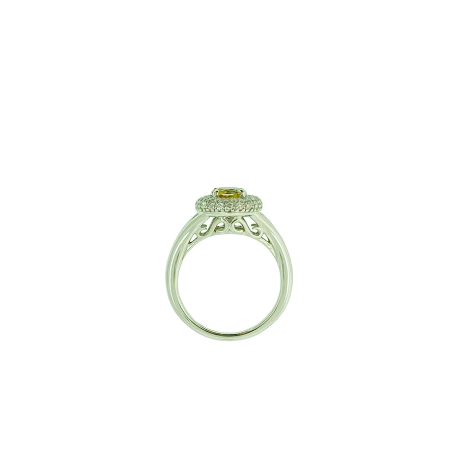 Triple Halo Round Ring - White Gold