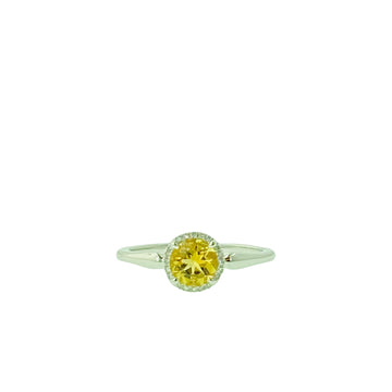 Round Halo Ring - White Gold