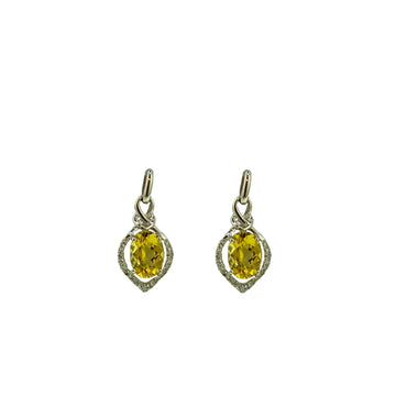 Oval Dangle  Earrings